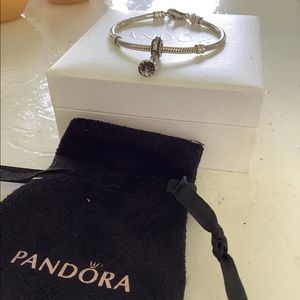 🌾 Pandora Bracelet with charm